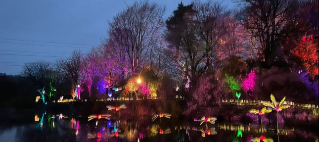 8d0bb133-d62d-4091-af7c-ad99a7231a0a