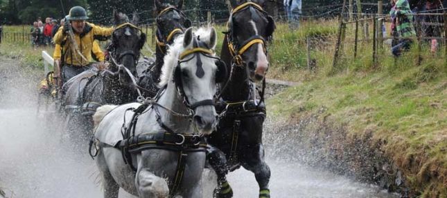 Lowther Show