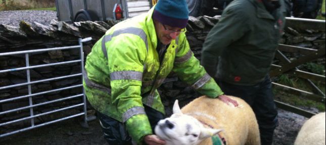 Preparing the tups